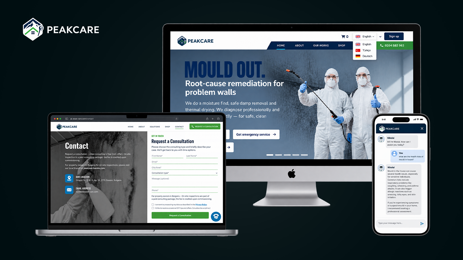 PeakCare —AI-Driven Digital Transformation case study